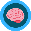 Brainstorm